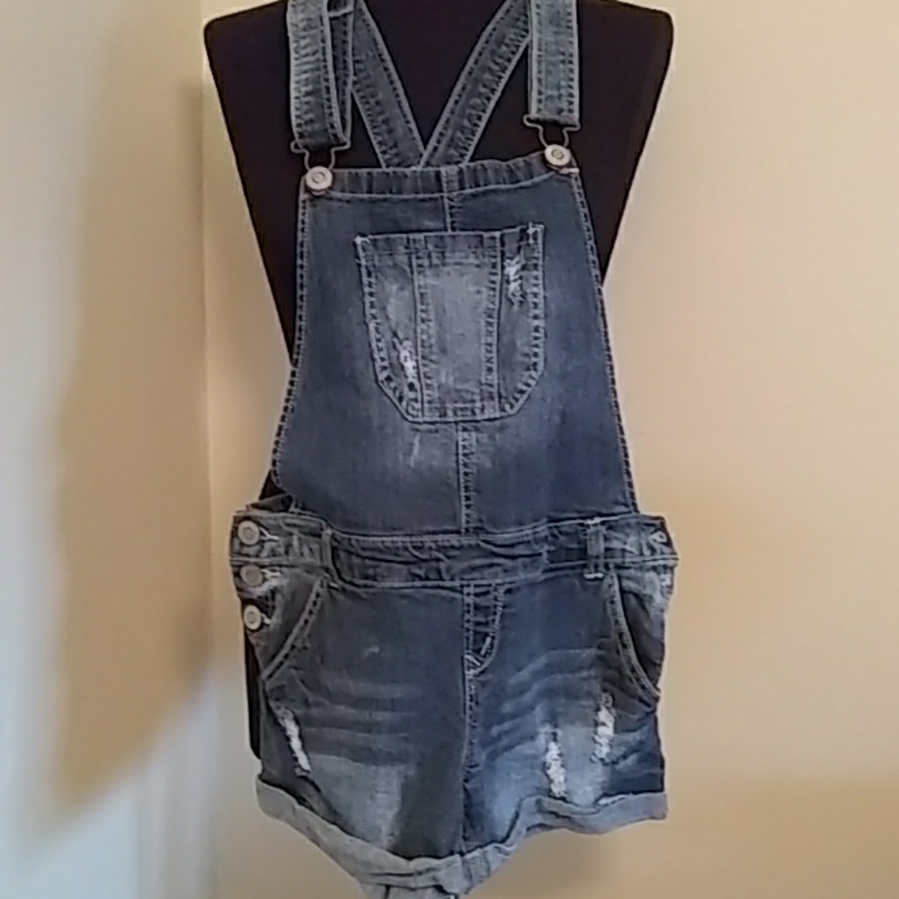 Blue Wallflower Overalls